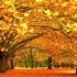 Plan And Stay at Boutique Hotels across India